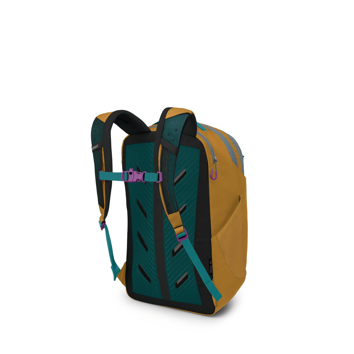 Osprey Proxima 30L Campus Laptop Backpack - Everyday Bag with Tech Storage, Bottle Pockets & Comfortable Carry